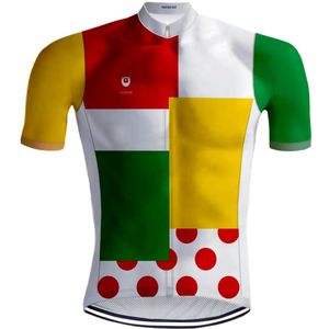 Retro Wielershirt Lapjestrui Veelkleurig - REDTED