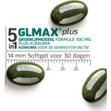 Synofit Groenlipmossel Plus 2x60 softgels