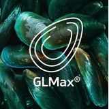 Synofit - Joint Care - Gewrichtsbalsem - 100 ml - Verfrissende Gel