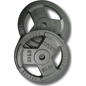 Halterschijven gietijzer set 10KG (2 stuks) Totaal: 20KG