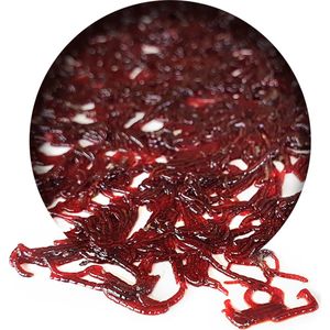 Bloodworm Vers