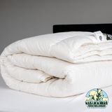 Terschellinger | Luxe 4 Seizoenen 100% IWS Zuiver Scheer wollen Dekbed| Zomer én winterdekbed |All Season |