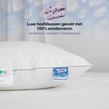 Veren Hoofdkussen DormiDons