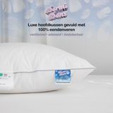 Veren Hoofdkussen DormiDons