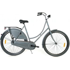 Wheelerz.nl omafiets grijs rijklaar