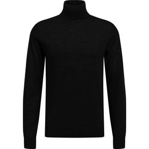 WE Fashion Heren fijngebreide trui met opstaande boord