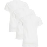 WE Fashion Jongens T-shirt 3-pack