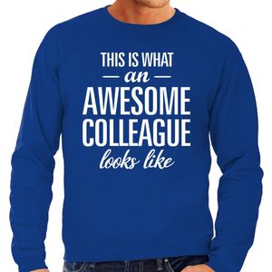 Awesome Colleague - Sweater - Blauw - Katoen/Polaester - Heren