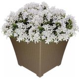 Bloempot - Wit - Keramiek