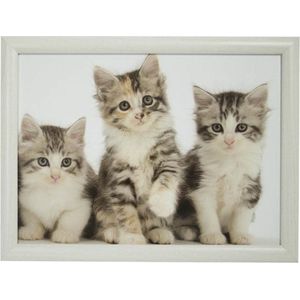 Schootkussen/Laptray 3 Katten/Poezen Kittens Print 43 X 32 cm - Dienbladen