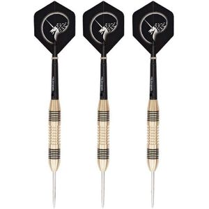 1x Set van 3 dartpijlen Core Brass 25 grams - Darten/darts sport artikelen pijltjes messing