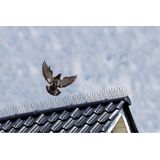 Set van 3x Vogelpinnen / Duivenpinnen / Vogelwering - 33 cm - Doorzichtig Kunststof