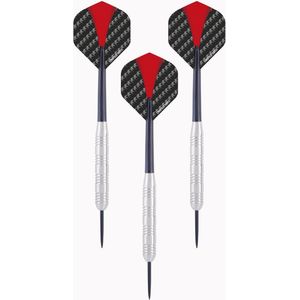 2x Set van 3 dartpijlen Longfield darts nickel silver 21 grams - Darten/darts sport artikelen pijltjes nickel silver - Kinderen/volwassenen