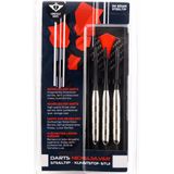 2x Set van 3 dartpijlen Longfield darts nickel silver 24 grams - Darten/darts sport artikelen pijltjes nickel silver - Kinderen/volwassenen