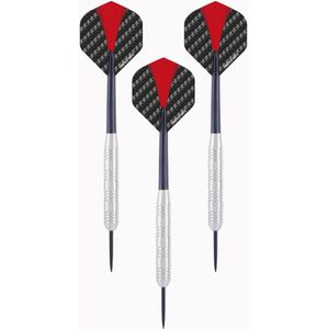 2x Set van 3 dartpijlen Longfield darts nickel silver 24 grams - Darten/darts sport artikelen pijltjes nickel silver - Kinderen/volwassenen