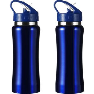 Set van 2x stuks luxe Drinkfles/waterfles 600 ml blauw van RVS