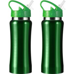 Set van 2x stuks drinkfles/waterfles 600 ml metallic groen van RVS - Sport bidon waterflessen