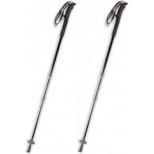 Set van 2x stuks nordic walking stokken 3-delig voor volwassenen - Nordicwalkingstok