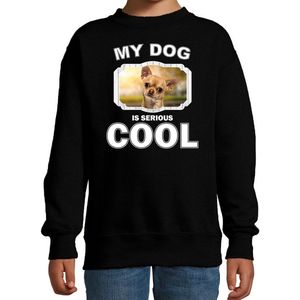 Chihuahua - Honden Trui - Zwart - My Dog Is Serious Cool - Voor Kinderen