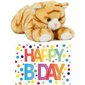 Cadeau setje pluche rood/witte kat/poes knuffel 25 cm met grote A5 formaat Happy Birthday wenskaart