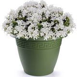 Bloempot - Wit - Keramiek