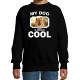 Honden liefhebber trui / sweater Chow chow my dog is serious cool zwart voor kinderen