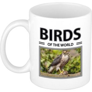 Dieren foto mok Havik - 300 ml - birds of the world - cadeau beker / mok Haviks liefhebber