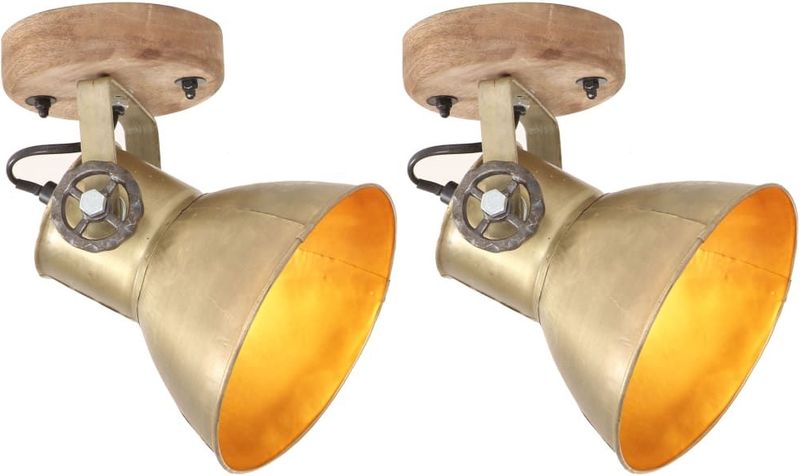 vidaXL Wand-/Deckenlampen Industriestil 2 Stk. Messing 20x25 cm E27