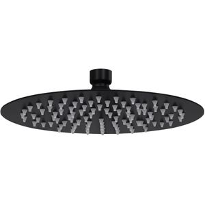 vidaXL - Regendouchekop - rond - 20 - cm - roestvrij - staal - zwart