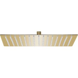 vidaXL Regenbrause Edelstahl 40x40 cm Quadrat Golden