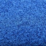 vidaXL Deurmat - Blauw - 100% Polyamide - Wasbaar - Anti-slip