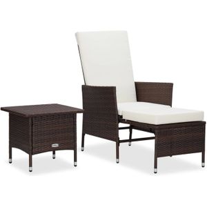 VidaXL Loungeset 2-delig met Kussens Poly Rattan Bruin