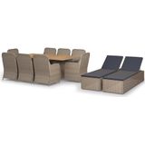 VidaXL 11-delige Tuinset Poly Rattan Bruin