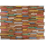 Wandpanelen - Meerkleurig - Massief Teakhout - 10 Stuks