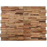 vidaXL Wandplatten 10 Stk. 1,03 m² Massivholz Teak Altholz
