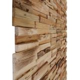 Wandpanelen - Teakhout - Rustieke uitstraling - 10 Stuks - 1,03 m²