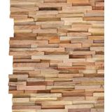 Wandpanelen - Teakhout - 10 Stuks - Natuurlijke Afwerking - 1,08 m²