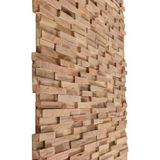 Wandpanelen - Teakhout - 10 Stuks - Natuurlijke Afwerking - 1,08 m²