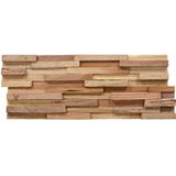 Wandpanelen - Teakhout - 10 Stuks - Natuurlijke Afwerking - 1,08 m²