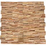 Wandpanelen - Teakhout - 10 Stuks - Natuurlijke Afwerking - 1,08 m²