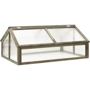 VidaXL Broeikas 114x80x50 cm Vurenhout Grijs 