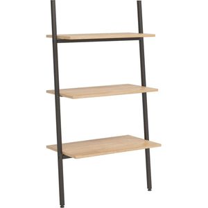 VidaXL Ladderrek met 3 Schappen 64x34x116 cm Lichtbruin/Zwart