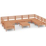 vidaXL - 10-delige - Loungeset - massief - grenenhout - honingbruin