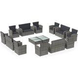 VidaXL 16-delige Loungeset met Kussens - Poly Rattan Grijs