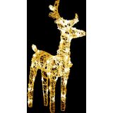 vidaXL - Kerstrendieren - 2 Stuks - Warmwit - Acryl