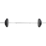 vidaXL-Halter-met-gewichten-30-kg