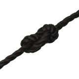 vidaXL Arbeitsseil Schwarz 14 mm 25 m Polypropylen