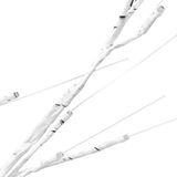 LED-Birke Warmweiß 240 LEDs 300 cm Vidaxl