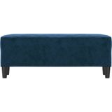 vidaXL Bankje 100x35x41 cm fluweel blauw