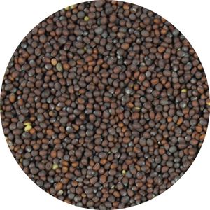 Mosterdzaad Bruin Heel - 20 KG -